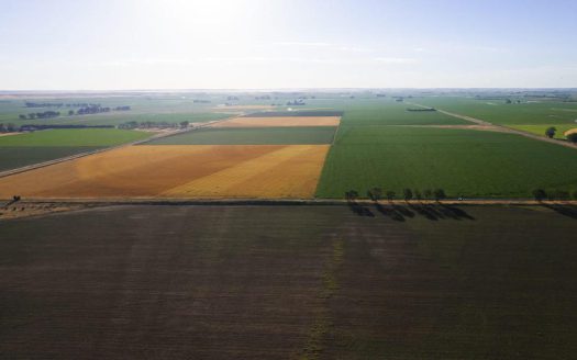 Big Red Farms